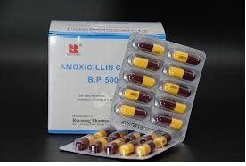 Amoxycillin capsules 250 mg